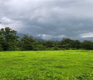 Rudram Ambition Farms
