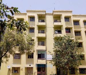 Green View Apartment