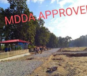 Pondha Paradise