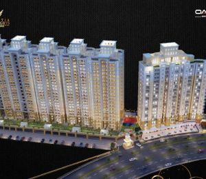 Oasis Venetia Heights