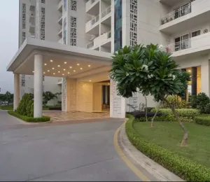 Jlpl Galaxy Heights