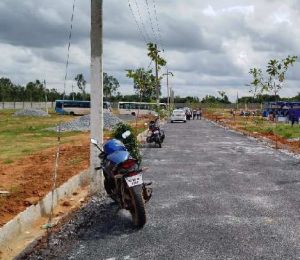 Jr Heavenly Home