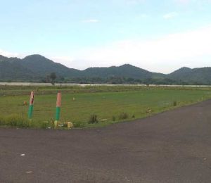 Green City