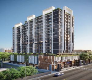 Crescent Silverwoods