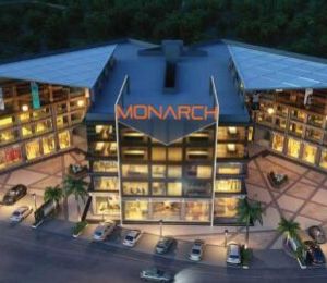 Monarch