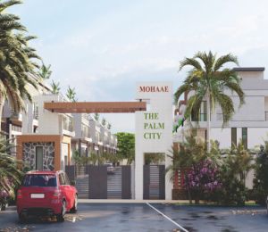 Mohaae Palm City