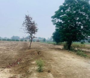 Braj Puram