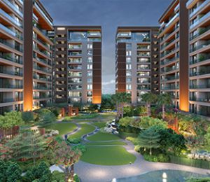 Avadh Classima