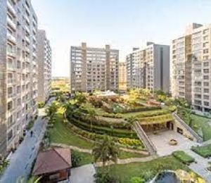 Avadh Elrica