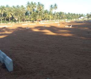 Shanthaa Classic