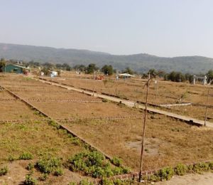 Vision Homes