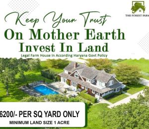 The Forest Farms House