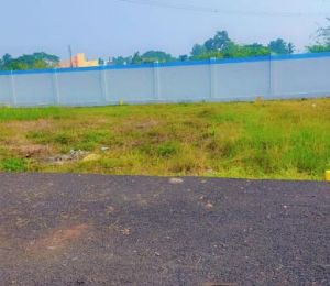 Sai Avenue