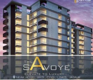The Savoye