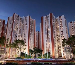 Dtc Capital City
