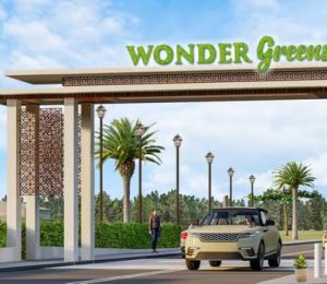 Wonder Green