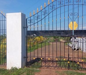 N  Farms