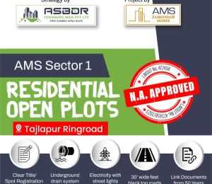 Ams Sectors 1