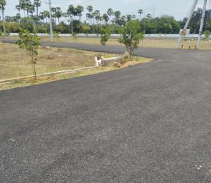 SwarnaGrand Alamanda