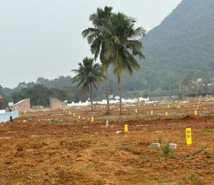 Leo Valley