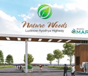 Nature Woods