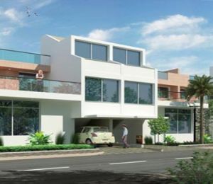 Dream Terraces