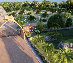 Arrjava Farms