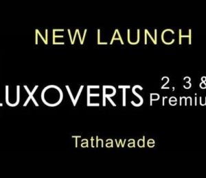 41 Luxoverts