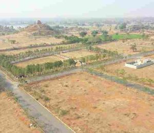 Sukrithi Tanavi Grove