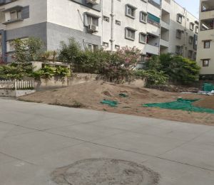 Central Park Phase 2