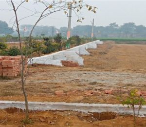 Shree Shyam Township
