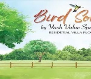 Yash Bird Song