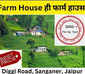 Mountain View Farm House