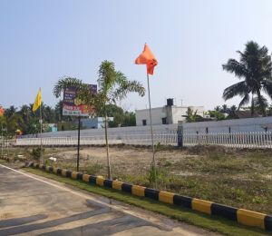 Serasa Avenue