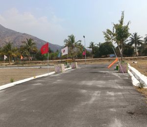 Jhp City