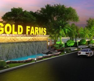 Gold Farm