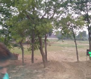 Landsquare Township
