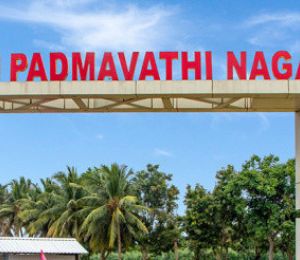 Padmavathi Nagar