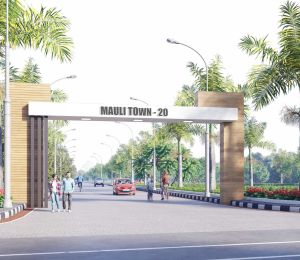 Mauli Town 20