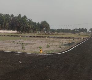 Osiya Garden