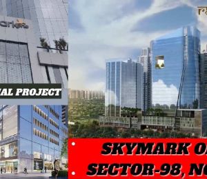 Skymark One