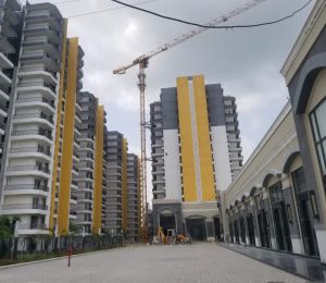 Harmony Homes