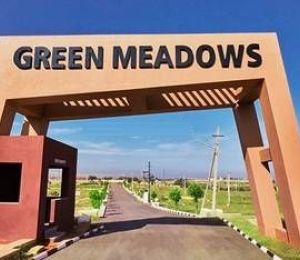 Greens Meadows