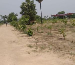 Yadadri Gardens