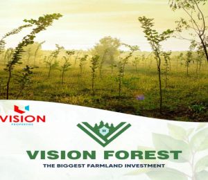 Vision Forest
