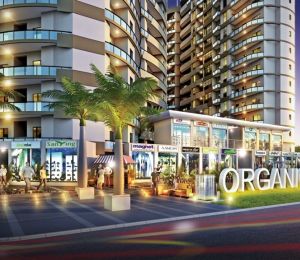 Rise Organic Homes