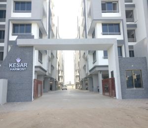 Kesar Harmony