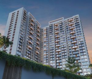 Dotom Sapphire Phase 2
