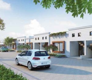 Joynest Mansa