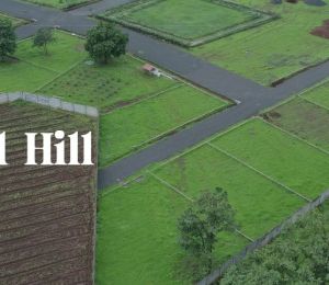 WestWood Hill